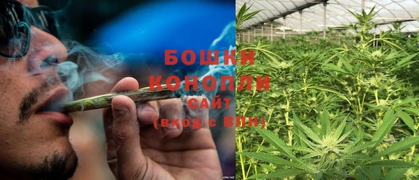 ГАЛЛЮЦИНОГЕННЫЕ ГРИБЫ Балахна