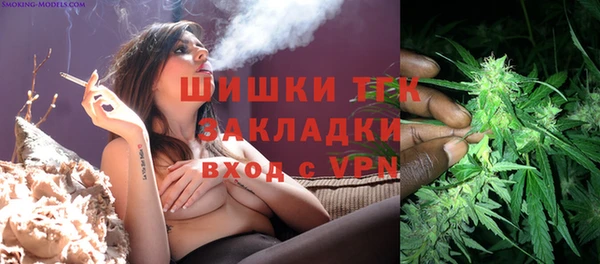 ГАЛЛЮЦИНОГЕННЫЕ ГРИБЫ Балахна